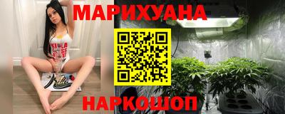 крисы Нальчик