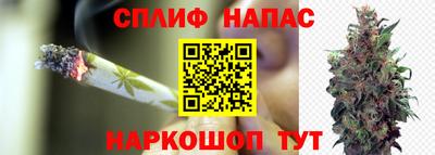 спайс Моздок