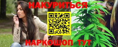 крисы Нальчик