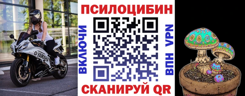 Псилоцибиновые грибы Magic Shrooms  что такое наркотик  блэк спрут вход  Благовещенск 