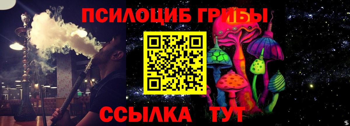 где купить наркоту  Вход с VPN  Благовещенск  Галлюциногенные грибы Psilocybine cubensis 